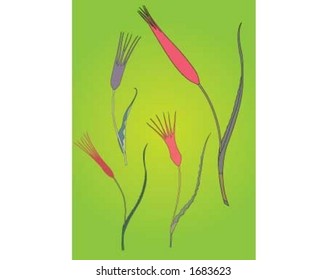 flower in garden