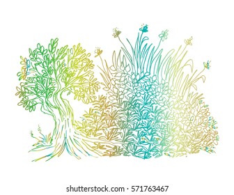 flower garden Hand drawing illustration.