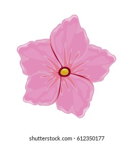 flower geranium florish image