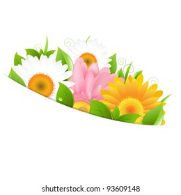 Flower Gerber And Leaves, Vector Illustration