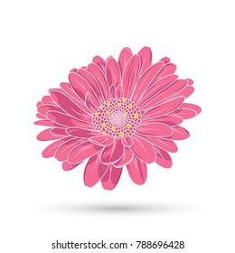 Flower of gerbera in cartoon style painted by hand. Element for design and creativity.