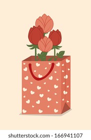 Flower with gift over white   background vector illustration