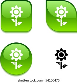 Flower glossy vibrant web buttons.