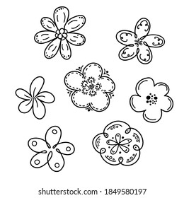 Diseño gráfico de flores. Ilustración. Conjunto vectorial de elementos florales con flores dibujadas a mano. Doodle. Página de coloreo en blanco y negro para libro de colorear. Dibujado a mano. Escritura a mano. 