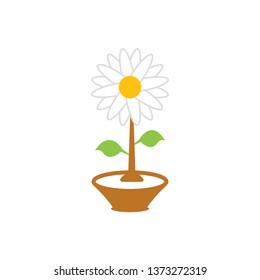 Flower graphic design template vector isolated illustration