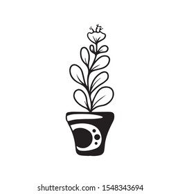 flower graphic design vector illustration, symbol of rebirth and growth, icon for botany application