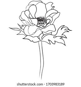 diseño gráfico de flores ilustración vectorial, dibujo lineal, arte