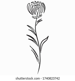 flower graphic design vector illustration, icon, logo, art sketch sketch, element, flora, hand draw, use in print