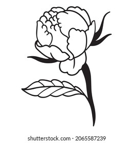 flower graphic design vector illustration, icon, art tattoo sketch, hand draw, use in print