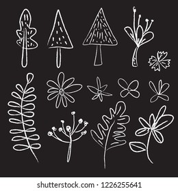 Flower graphic design. Vector set of floral elements with hand drawn flowers