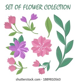 Diseño gráfico de flores. Conjunto vectorial de elementos florales con flores dibujadas a mano. Conjunto de colecciones de elementos de doodle floral. Moderno conjunto botánico.