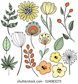 Flower graphic design. Vector set of floral elements with hand drawn flowers.