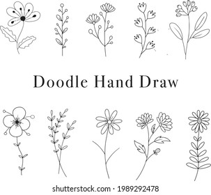 Elementos gráficos de flor Dibujo a mano Floral y plantas Ilustraciones Vector de Doodle Ilustración 
