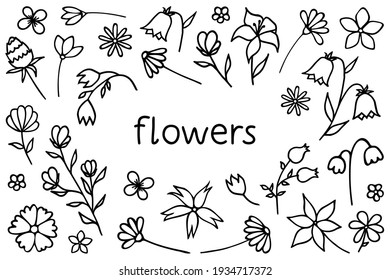 Flower graphic elements , large vector set. Flowers and plants hand drawing illustrations isolated on white.