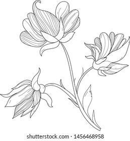 Flower graphic illustration vector picture. Black and white flower image. Decorative vector illustration magic flower on white background. Hand drawn plant. Isolated sketch 