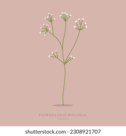 flower and grass botanical flat design and illustration.
