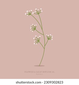 Blumen und Gras botanische flache Gestaltung und Illustration.
