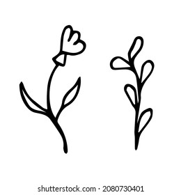 Flower and grass in doodle style on a white background are isolated. Plants can be used as nail stickers, stickers for daily planner, wrapping paper