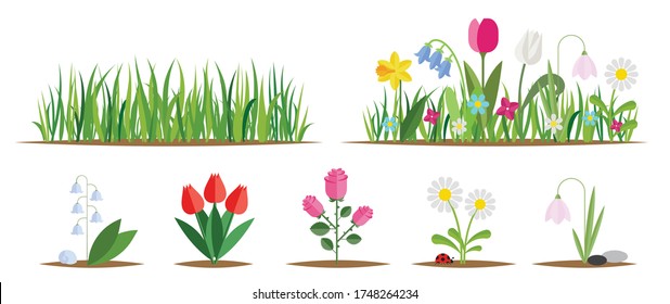 Flower and grass flat icon set isolated on white. Various garden flowers including rose, tulip, orchid, Espatifilo, bells flowers, Bellis perennis, bulb flowers.