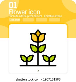Flower and grass icon vector with outline color style isolated on white background. Vector illustration flower sign symbol icon concept for web, ui, ux, website, logo, nature, apps and all project