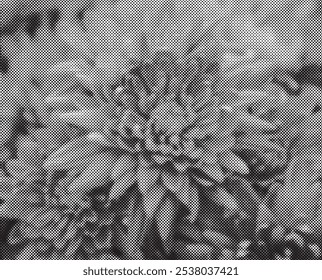  Flower in the grass illustration made by halftone patter.Black and white abstract psychedelic stripes for digital wallpaper design. Line art pattern. Trendy texture.