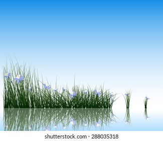 Flower with grass on water surface with reflection. EPS 10 vector illustration with transparency.