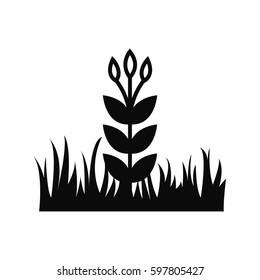 Flower in grass vector silhouette