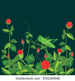 Flower and grasshopper vector illustration isolated on dark green background