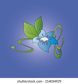 Flower with green leaves on a blue background
