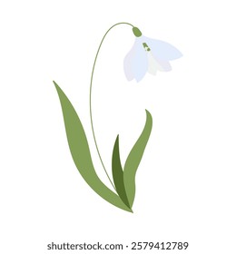 A flower with a green stem and a white petal. The flower is in the middle of the image