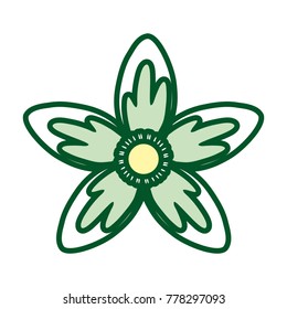 flower green  vector illustration