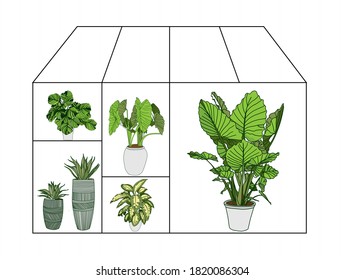 Flower greenhouse or greenhouse. Winter Garden. Gardening and truck farming concept.