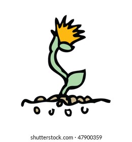 flower growing