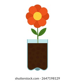 Flower growing in the base of a repurposed plastic bottle