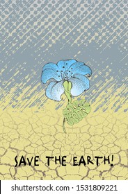A flower growing in the desert as a symbol of hope for a better future for the Earth
