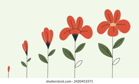 Flower growing stages. Abstract red blossom. Sprout-bud-flower phases. Vector illustration isolated on light green background.