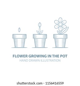 Flower Growing Stages Timeline Infographic Planting Stock Vector ...