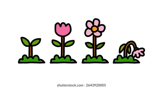 Flower growth collection set from small, blooming, and wilting. Simple flower growth element design