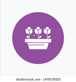 Flower, Growth, Plant, Spring. Vector Icon Template background