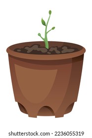 Flower growth stage in brown pot on white background. Vector illustration phase sprout of small flower