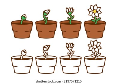 Flower growth vector cartoon illustration isolated on a white background.
