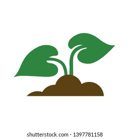Flower growth vector icon. filled flat sign for mobile concept and web design. Growing spring flower glyph icon. Symbol, logo illustration. Pixel perfect vector graphics