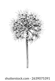 Flower with halftone grunge effect texture in black color. Old photocopy for collage or scrapbook