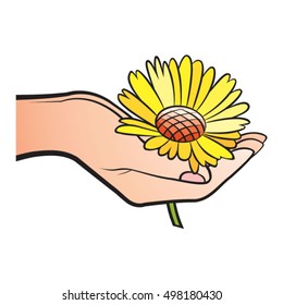 flower in hand in color-vector drawing