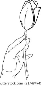 Ilustración vectorial de la línea de tracción manual, de la flor, de la mano.