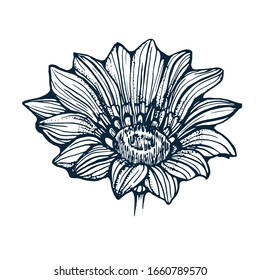flower hand drawing vector illustration isolated on white background
