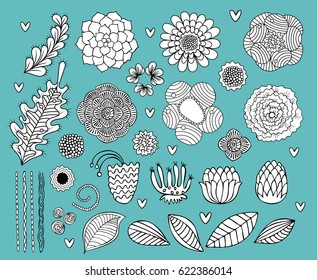 Flower hand drawn black and white vector set, succulent, rose, leaf, floral elements collection for card design