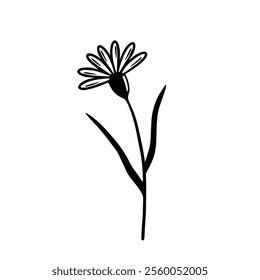 Flower. Hand drawn botanical element. Black and white vector illustration isolated on white background.