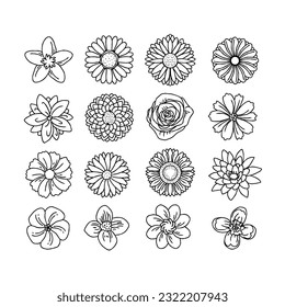 flower hand drawn doodle illustrations vector set