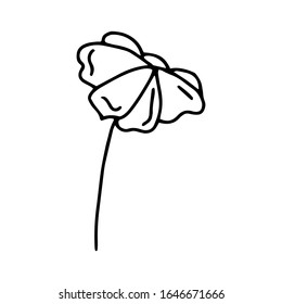 Flower hand drawn drawing line isolated on white background.Black and white image.Flora and fauna.Floral design.Doodles.Vector illustration